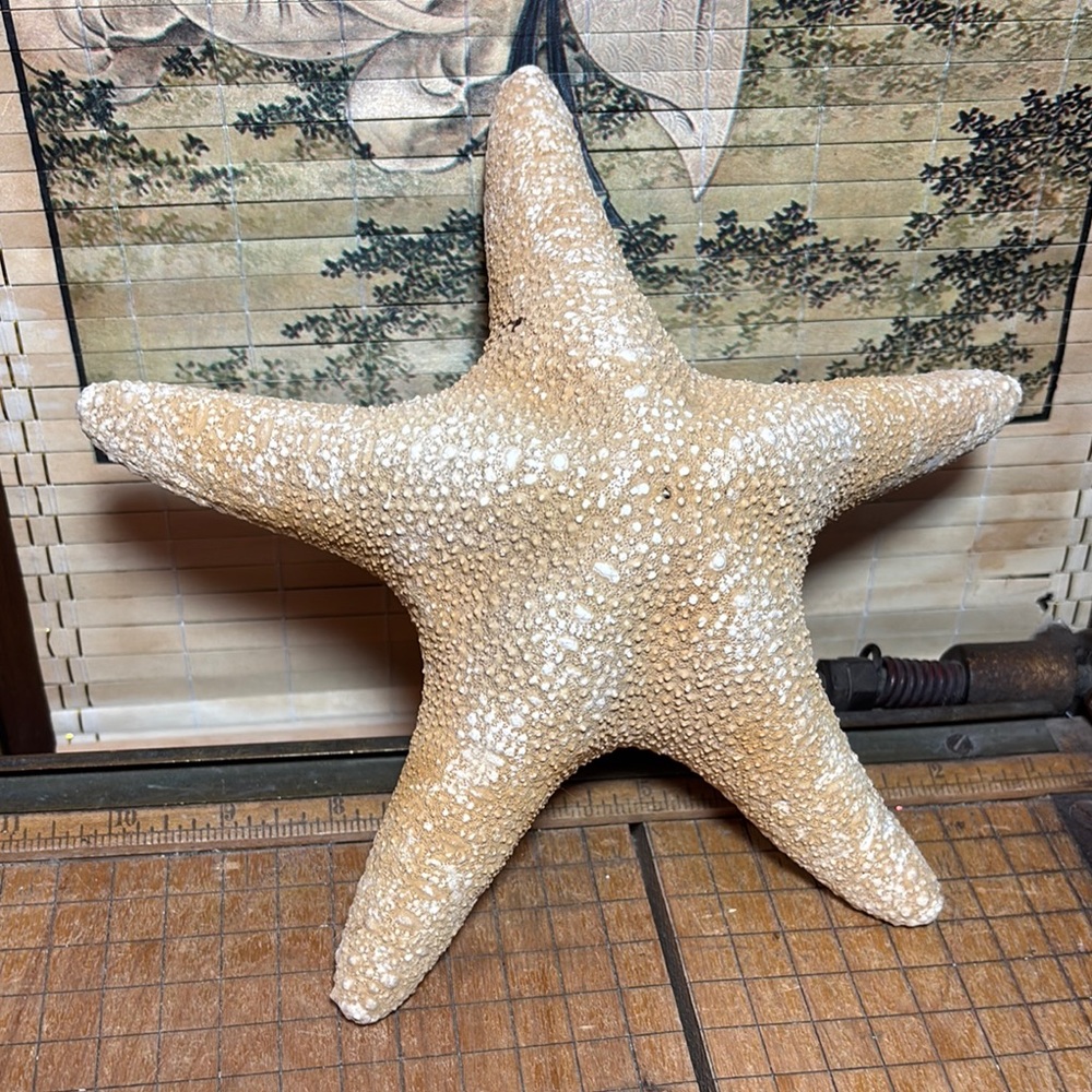 Large Natural Tall Starfish Decor 8.75”D Weight 5.7OZ GUC